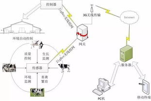設施農業如何借助互聯網技術發展智慧農業